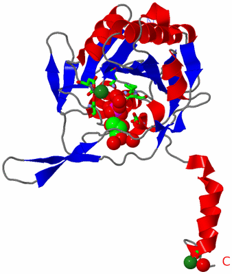 Image Asym. Unit - sites