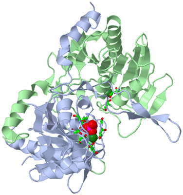 Image Biol. Unit 1 - sites