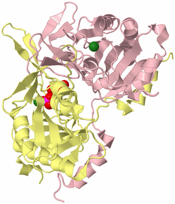 Image Biological Unit 2