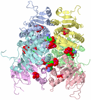 Image Asym./Biol. Unit