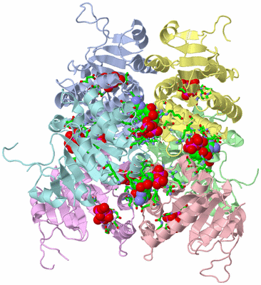 Image Asym./Biol. Unit - sites