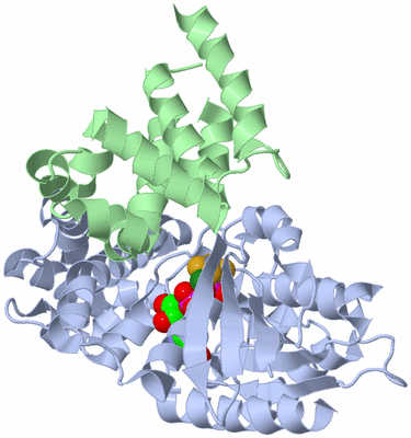 Image Asym./Biol. Unit