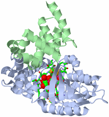 Image Asym./Biol. Unit - sites