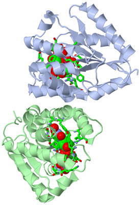 Image Asym./Biol. Unit - sites