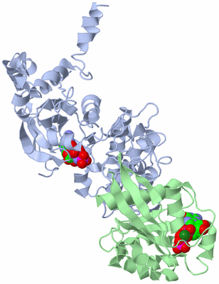 Image Biological Unit 1