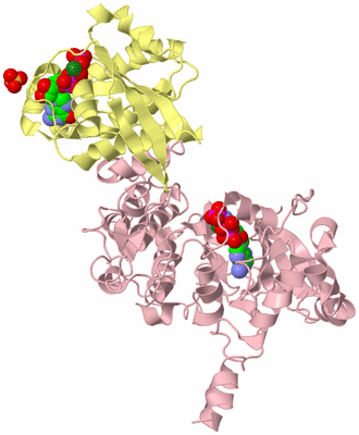 Image Biological Unit 2