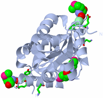 Image Biol. Unit 1 - sites