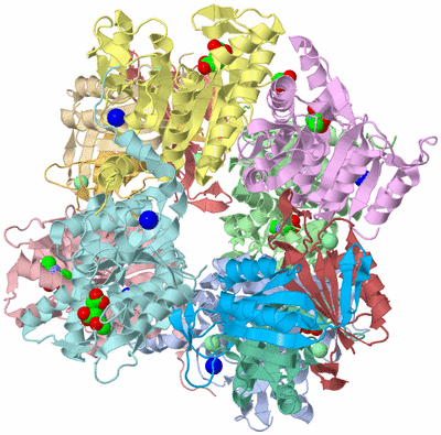 Image Asym./Biol. Unit