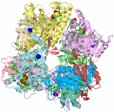 Image Asym./Biol. Unit - sites