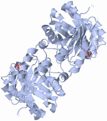 Image Biological Unit 1