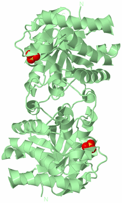 Image Biological Unit 2