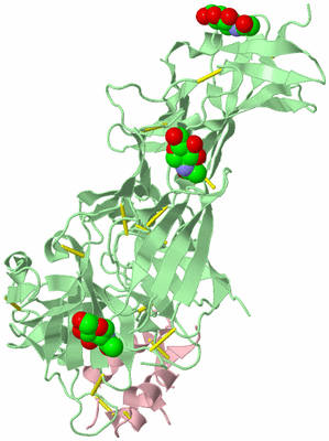 Image Biological Unit 2