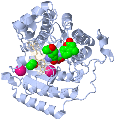 Image Biological Unit 1