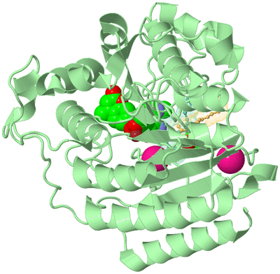 Image Biological Unit 2