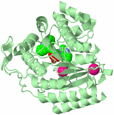 Image Biological Unit 2