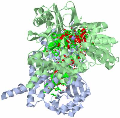 Image Asym./Biol. Unit - sites