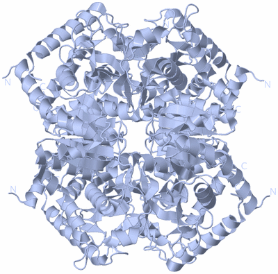 Image Biological Unit 1