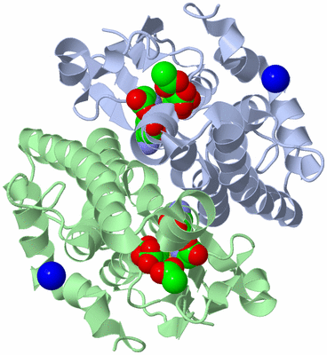 Image Asym./Biol. Unit