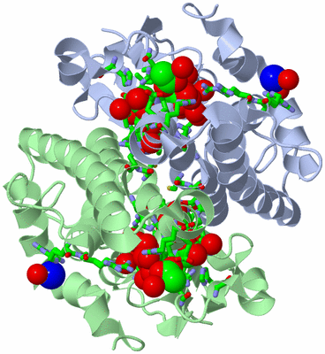 Image Asym./Biol. Unit - sites