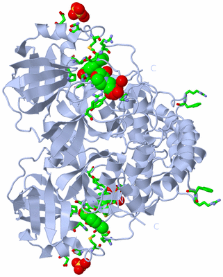 Image Biol. Unit 1 - sites