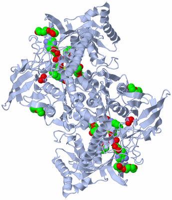 Image Biological Unit 1