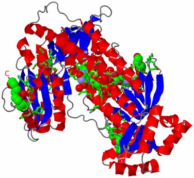 Image Asym. Unit - sites