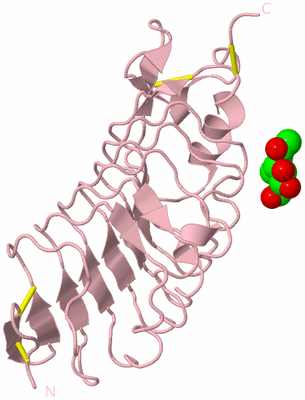 Image Biological Unit 3