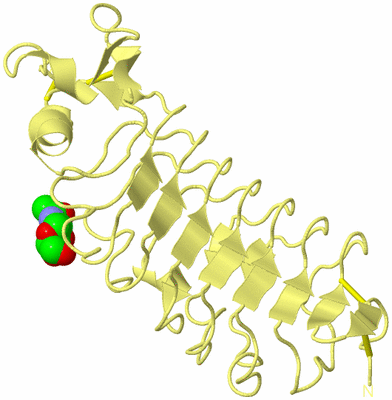 Image Biological Unit 4