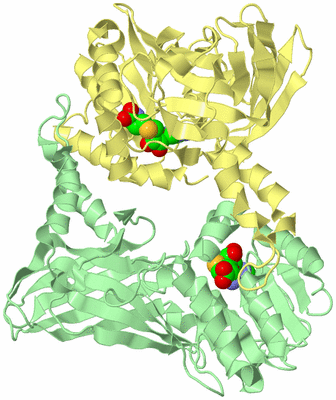 Image Biological Unit 1