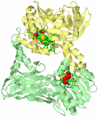 Image Biol. Unit 1 - sites