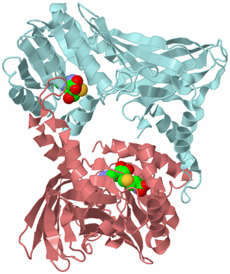 Image Biological Unit 2