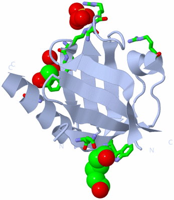 Image Biol. Unit 1 - sites