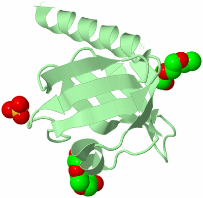 Image Biological Unit 2