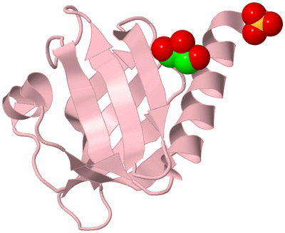 Image Biological Unit 3