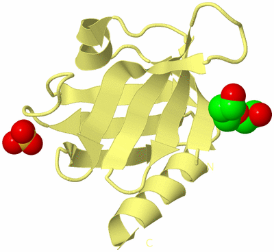 Image Biological Unit 4