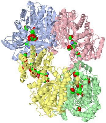 Image Biological Unit 1