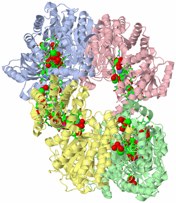 Image Biol. Unit 1 - sites