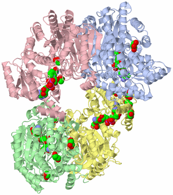 Image Biological Unit 2