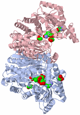 Image Biological Unit 3