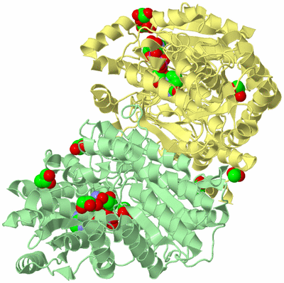 Image Biological Unit 4