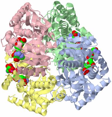 Image Asym./Biol. Unit