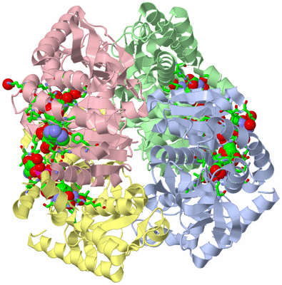 Image Asym./Biol. Unit - sites