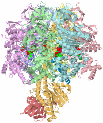 Image Asym./Biol. Unit