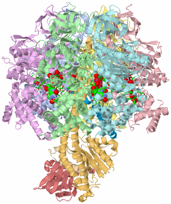 Image Asym./Biol. Unit - sites