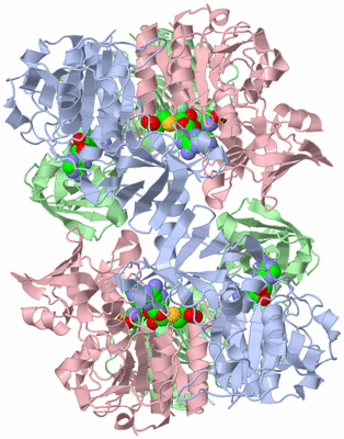 Image Biological Unit 1