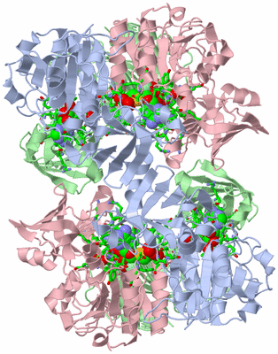 Image Biol. Unit 1 - sites