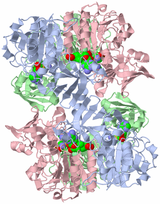 Image Biological Unit 1