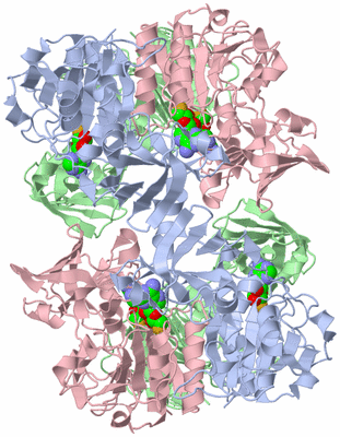 Image Biological Unit 1