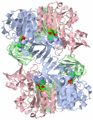 Image Biological Unit 1