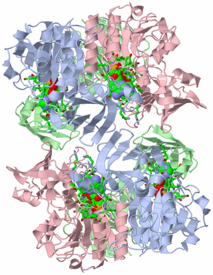 Image Biol. Unit 1 - sites